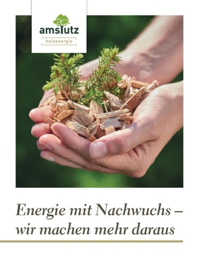 Amstutz Holzenergie  AG